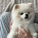 조은씨앤씨 | 25년 2월 갈무리