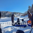 가실마을 | SNS 난리난 대관령 눈꽃마을 눈썰매장 : 예약 실패 현장 발권 후기
