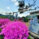 길안천 돌담집 이미지