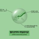 윌마트편의점 이미지