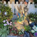 래빗가든 | 지유가오카 야키소룡포 맛집 타이잔셩지엔/피터래빗 가든 카페 후기