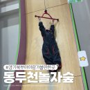 그늘막115 | 경기북부 아이랑 가볼만한곳 동두천 놀자숲 어른들도 신나는 익스트림 슬라이드