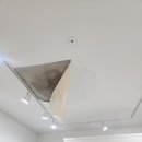 마이 진네일 이미지