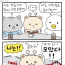 나는 짜장 네이버블로그
