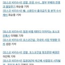 &#39;부정부패 척결&#39;,하려면 제대로 해야 한다 이미지