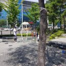 신길광장공원 네이버블로그