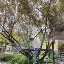 농부네민박 이미지