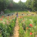 종현모터스 이미지