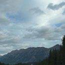 엘크사슴 | [캐나다] 밴프 6일 차 재스퍼 멀린 레이크 메디슨 레이크 곰과 엘크 !!