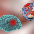 로하스요양병원 이미지