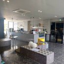 주식회사 펫츠 원 이미지