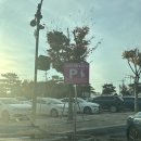 공주 가볼만한 곳 추천 무령왕릉 단풍구경 🍂🍁🤎