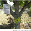 강천산가든 이미지