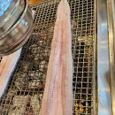 장어의꿈 이미지