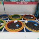 윤희네 집 이미지