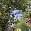 힐이스턴하우스 이미지