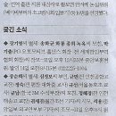 능주 씻김굿 Daum카페