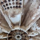 매화로37번길 이미지