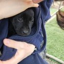 서귀고양이 | Q. 제주가면 뭐해요? A. 그냥 먹기만 해요.