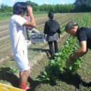 참다운농장 이미지