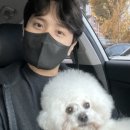 올라펫살롱 이미지