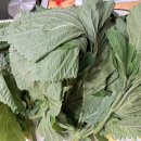 여름반찬 깻잎장아찌. 만들었어요 이미지