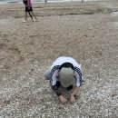 일산 마리아 시험관 두번째 채취 화유 복수 와 호흡곤란 폐수종 의심 으로 대학병원 간 썰