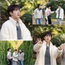 가이즈