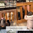 한터농원영농조합 이미지