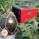 정읍단풍미인조합공동사업법인 이미지