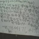 개미돈까스 이미지