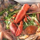 하대동274 이미지