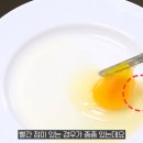 슬기로운밥상생활 이미지