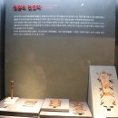 함안대치리 공룡발자국화석 | 함안박물관-함안군 공립박물관
