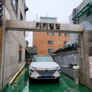 애견매니아 이미지