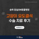 요도 | 잠실 동물병원 고양이 요도결석 수술 치료 후기