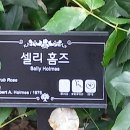 곡성-197 이미지