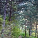 백화산호국의길 이미지