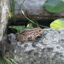 억불산민박 이미지