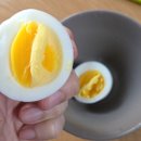 평창신씨네 자연방사 닭농장 | 동물복지를 실현하는 봄빛농장의 방사유정란으로 건강한 식생활 해보세요.