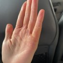 눈꽃새펜션 | [가평]9년지기 친구들과 가평 1박 2일 여행 | 가평빠지 케이탑랜드 | 남이섬앤디펜션 내돈내산 후기