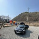(청도)별빛마을캠핑장 솔직후기