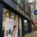 서화 | [아오꾸] 죽전 미용실 살롱서화 나나펌 후기