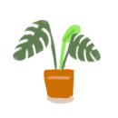 카페아마떼 이미지