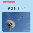 에스페란토주