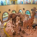 아프리카예술박물관 | 아프리카여행 나이로비 국립박물관 케냐여행 추천