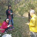 낙안농장 이미지