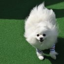 카페반 이미지