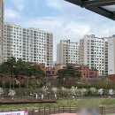 Pin(핀)공인중개사사무소 | 벚꽃 곧 사라진다🌸 서울 숨은 명당, 지금 바로 가야 하는 이유