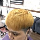 블루밍헤어샵 이미지